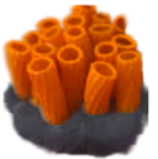 INN - Pasta Coral Re